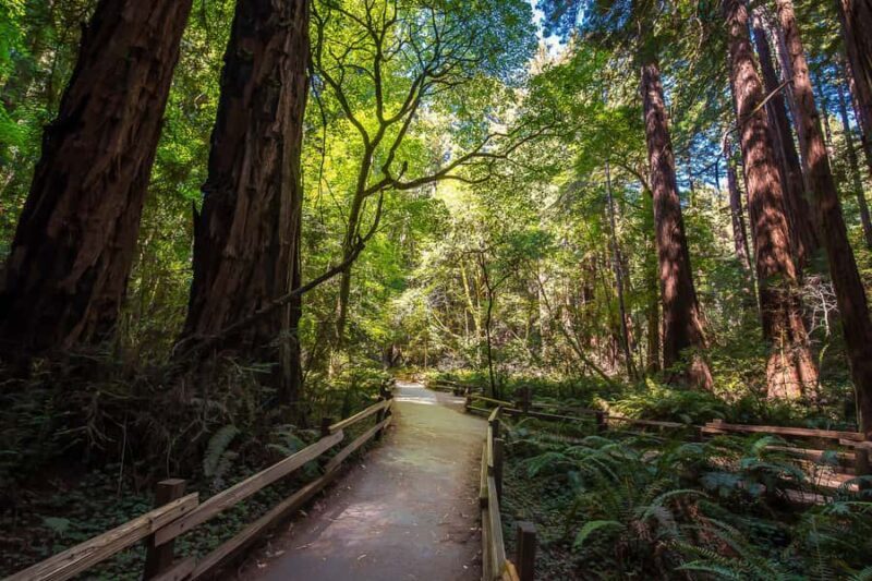 San Francisco: Muir Woods & Sausalito Tour w/Alcatraz - Who Should Consider This Tour?