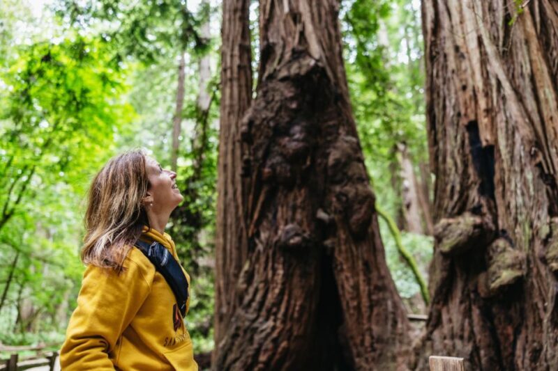 San Francisco: Muir Woods & Sausalito Tour with Ferry Option - Key Points