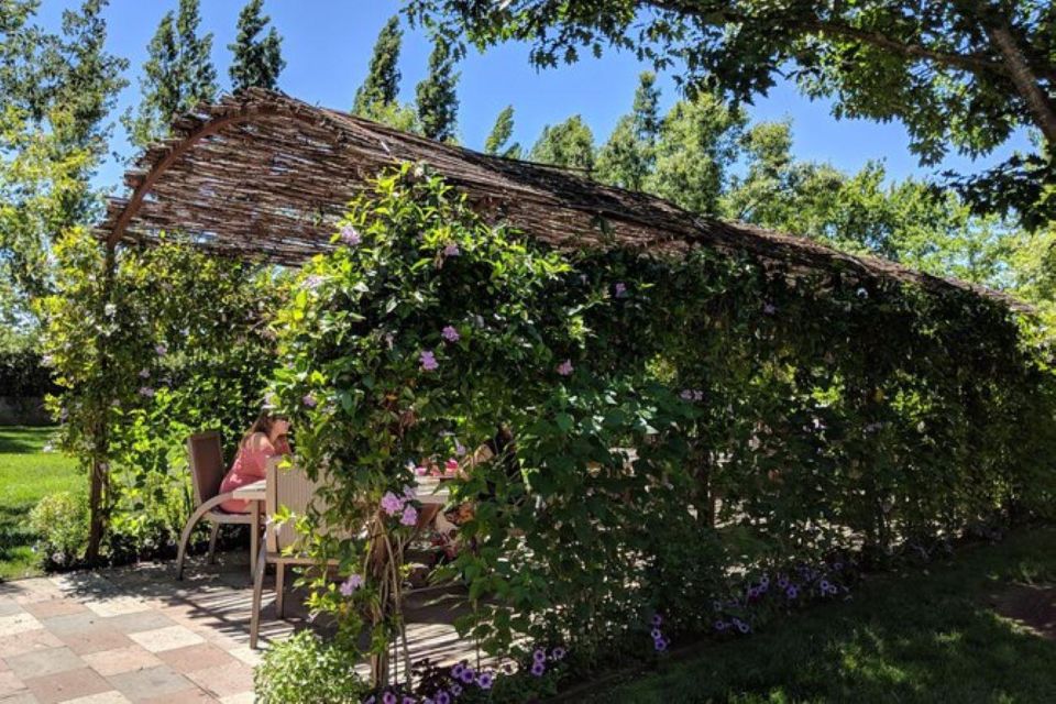 San Francisco: Napa and Sonoma Valley Private Wine Tour - Recap