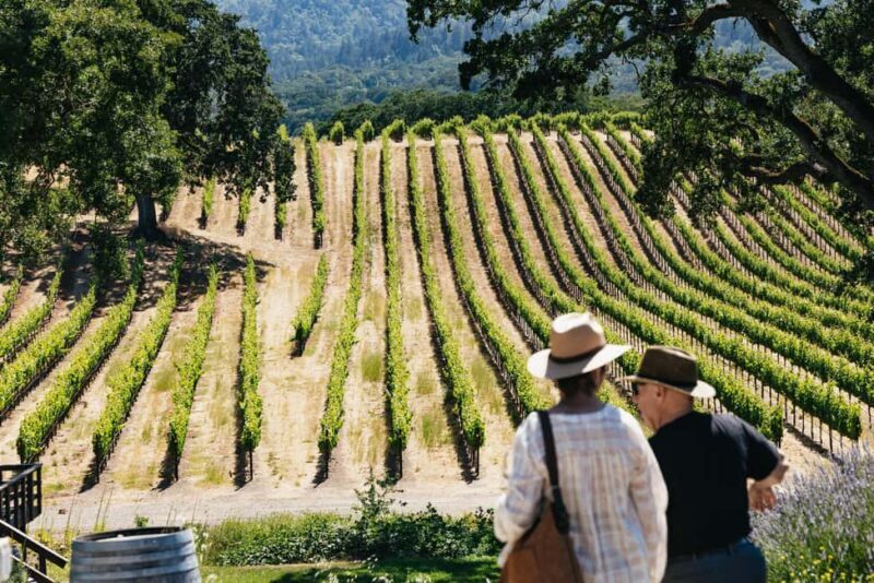 San Francisco: Napa and Sonoma Valley Wine Tour - Deep Dive into the Experience