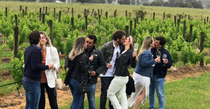 San Francisco: Napa Valley Half-Day Wine Tour with Tastings - The Value Proposition