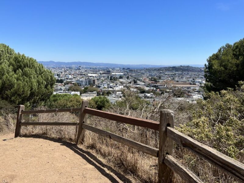 San Francisco: Neighborhood Walking Tour - 6 Route Options - Key Points