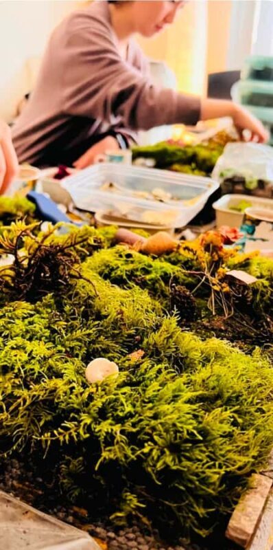 San Francisco Photo Tour with a Private Photographer - The Experience: What Travelers Say