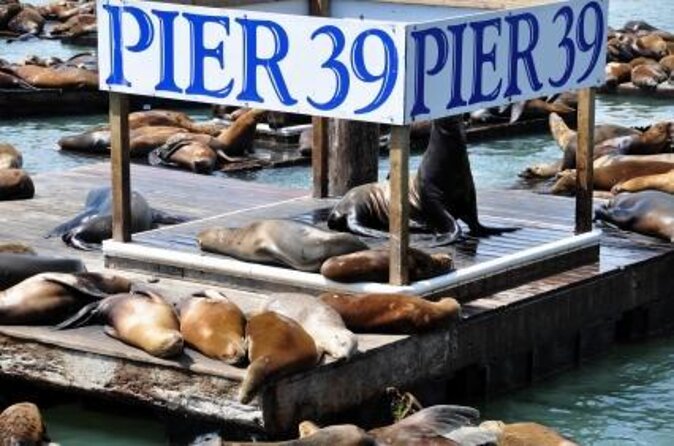 San Francisco Pier 39 Puzzling Adventure Review - Booking and Cancellation Policy