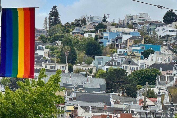 San Francisco Private City Tour in New EV Volkswagen Van - Practical Information