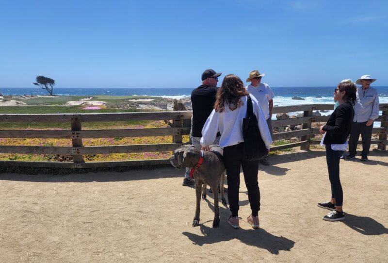 San Francisco: Private Monterey Aquarium 17 Mile Carmel - Practical Details and Value