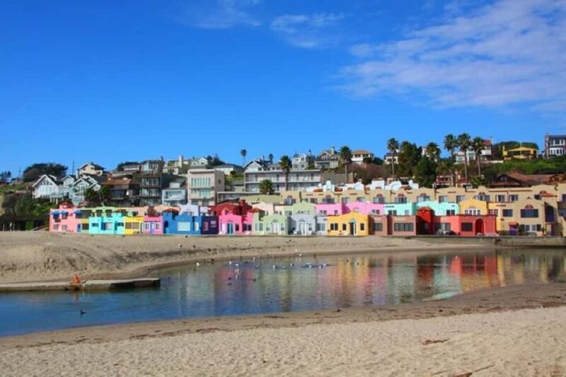 San Francisco: Redwood Forest & Santa Cruz Harbor 1-Day Trip - The Value and Practicalities