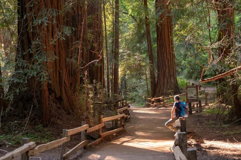 San Francisco: Redwood & Wine Country Tour with Lunch & Wine - Key Points  