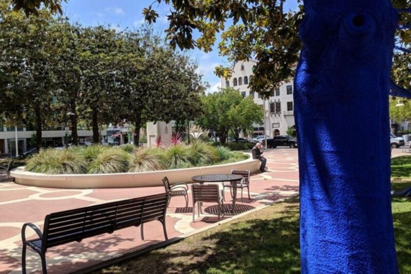 San Francisco: Silicon Valley Private Tour with Transfers - Visiting Googleplex: The Tech Giants Playground