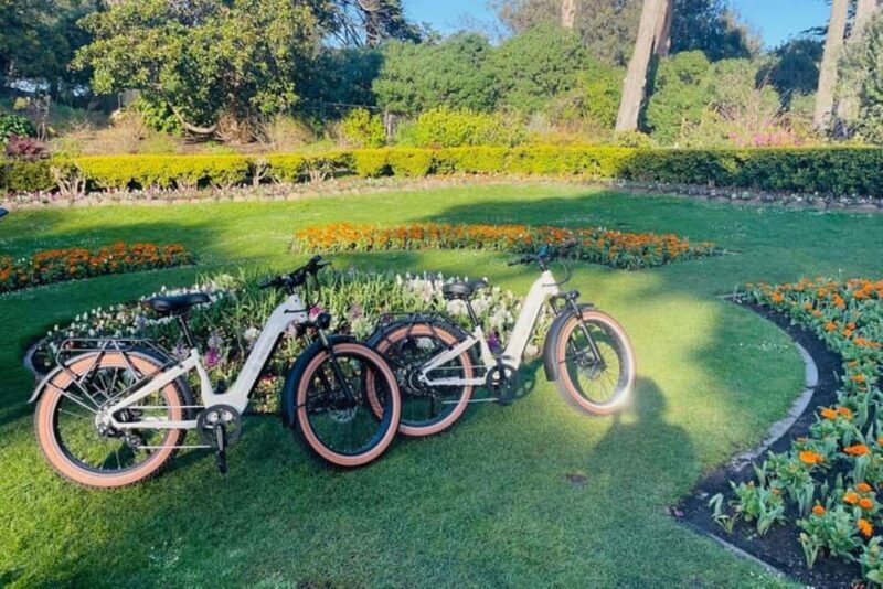 San Francisco: Summer of Love Guided eBike Tour - The Practical Side: What’s Included and How It Works