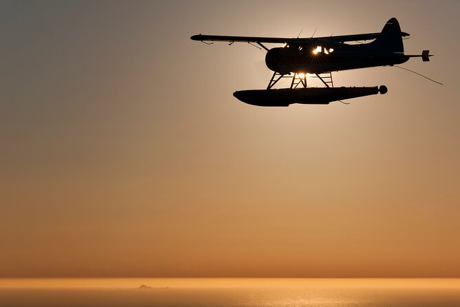 San Francisco Sunset Champagne Seaplane Tour - What to Expect During the Flight