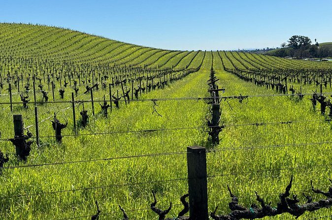 San Francisco to Sonoma Private 6 Hour Wine Tour - up to 4 guests - Final Thoughts