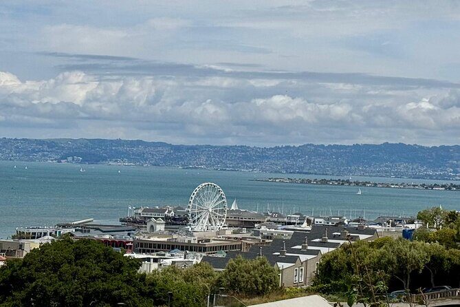 San Francisco Wine Country Tour in EV VW Van - The Sum Up