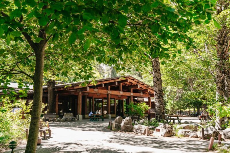 San Francisco: Yosemite National Park & Giant Sequoias Hike - A Comprehensive Review of the Yosemite Day Trip from San Francisco