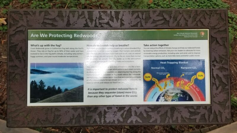 San Fransico: Muir Woods & Marin Headlands Private Tour - A Close Look at the Tour Itinerary and Experience