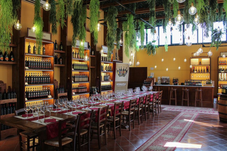 San Gimignano: 2-Hour Wine & Gourmet Tasting With Drinks - Recap