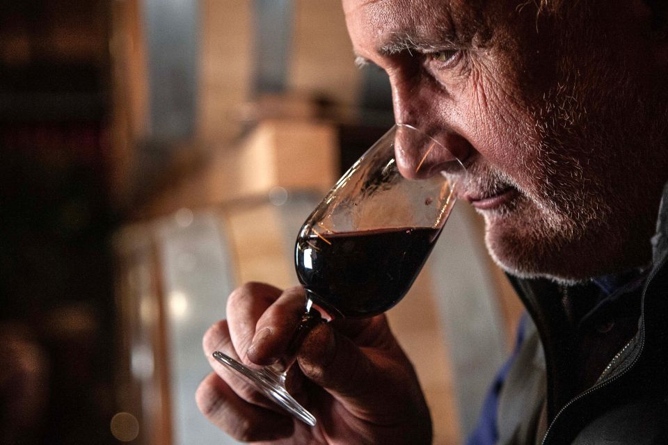 San Gimignano: Barrel Wine Tasting at a Winery - Inclusions