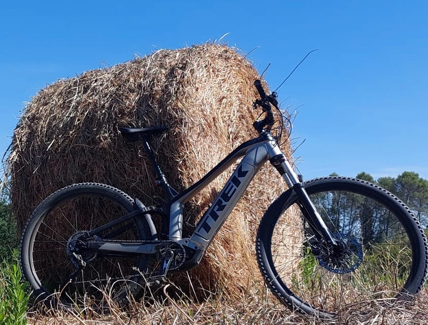 San Gimignano: E-Bike Tour with Tasting - An Overview of the Experience