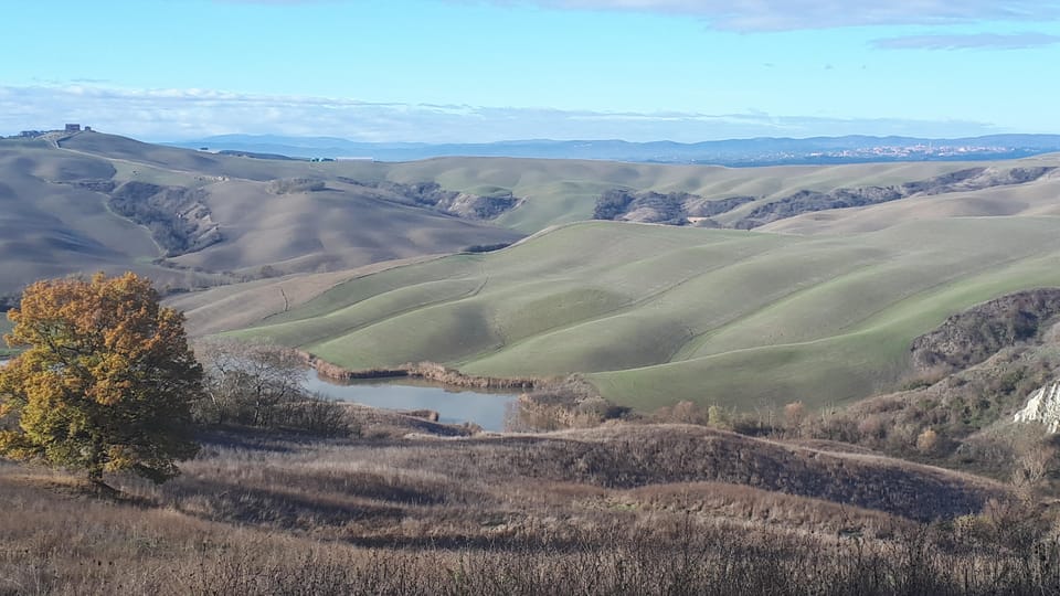 San Gimignano: E-Bike Tour with Tasting - Analyzing the Value