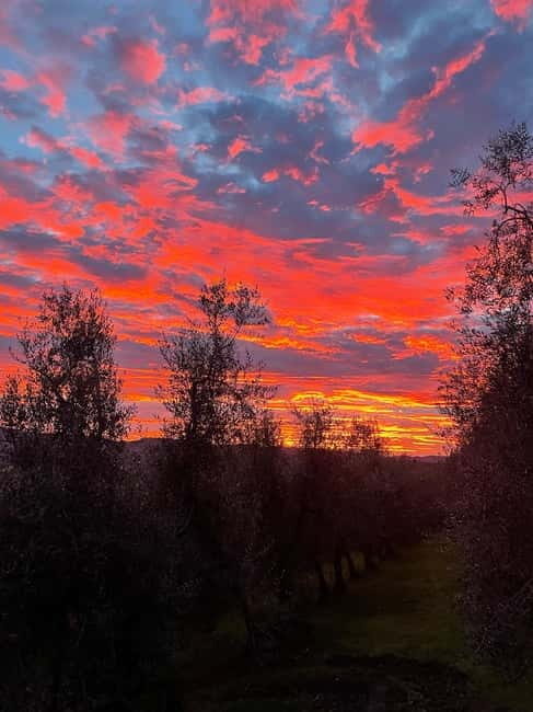 San Gimignano: Nature, Organic Wine and Lightheartedness - The Sum Up