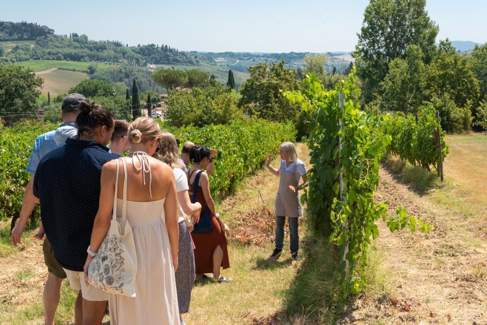 San Gimignano: Premium Wine Tour With Lunch - Itinerary Details