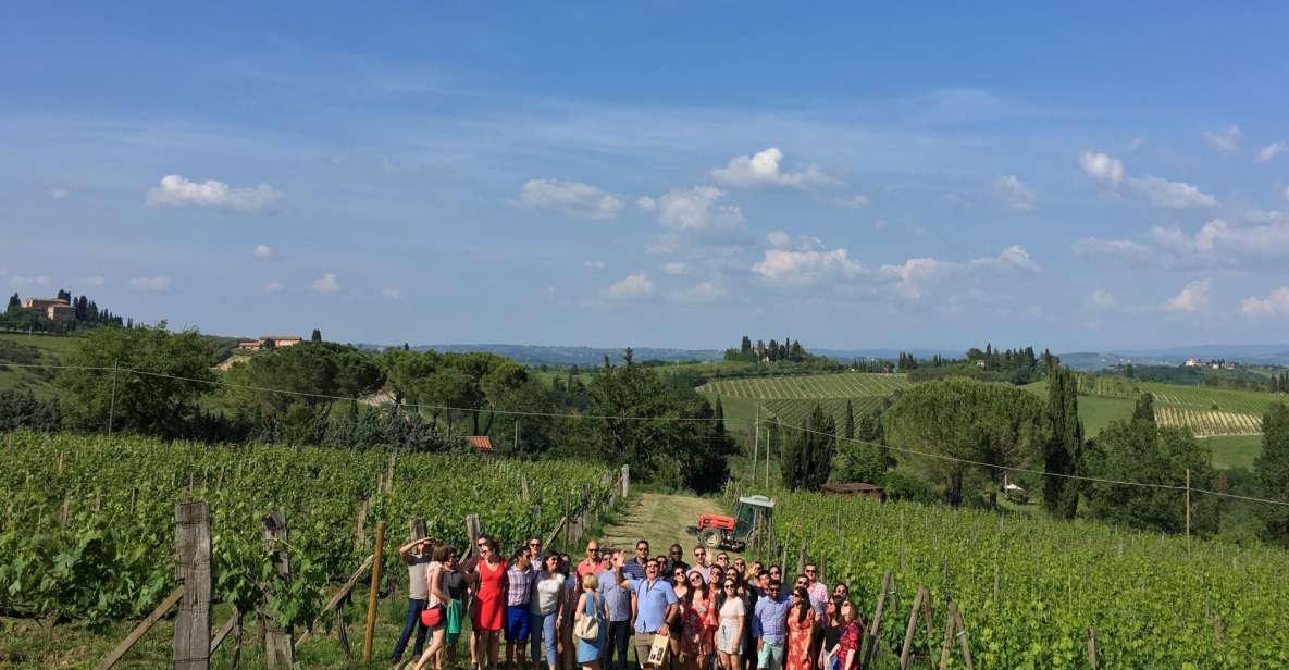 San Gimignano: Premium Wine Tour With Lunch - Wine and Food Experience