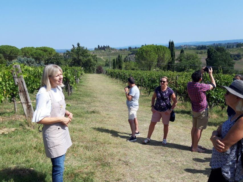San Gimignano: Premium Wine Tour With Lunch - Educational Component
