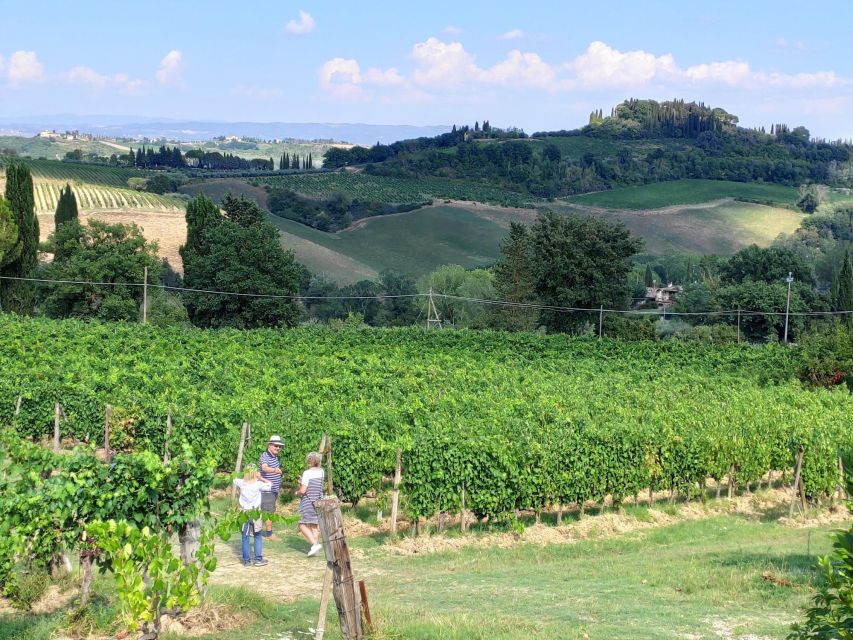 San Gimignano: Premium Wine Tour With Lunch - Customer Feedback
