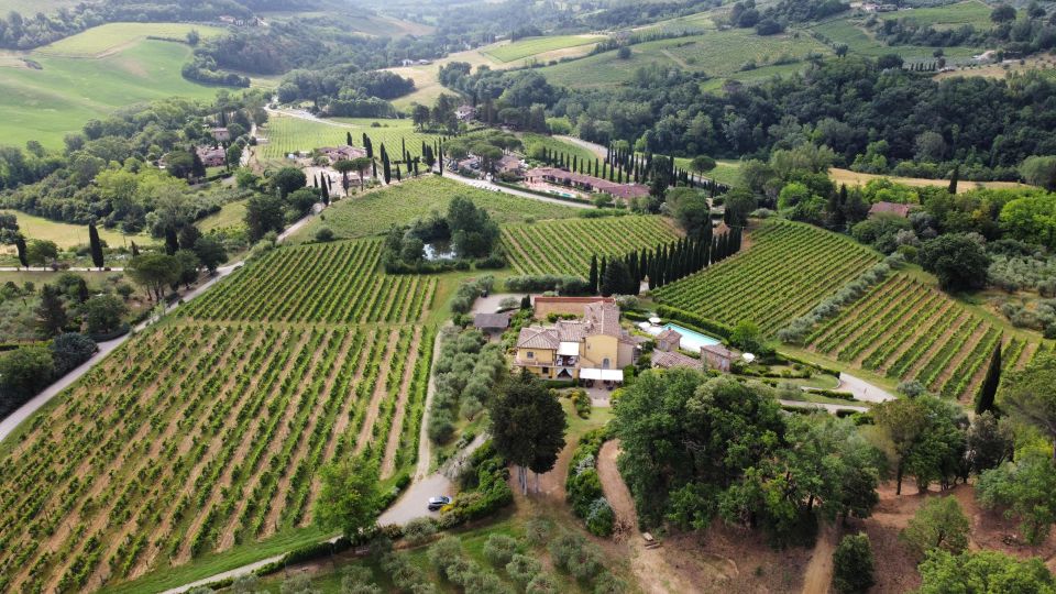 San Gimignano: Premium Wine Tour With Lunch - Frequently Asked Questions