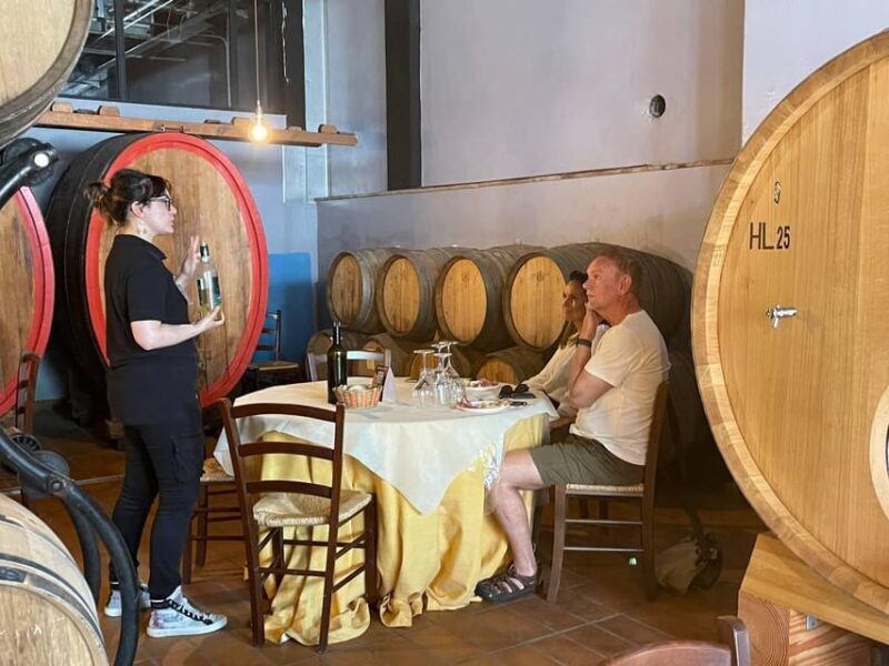 San Gimignano: Private Vintage Beetle Car Tour with Wine - An In-Depth Look at the Tuscany Vintage Beetle Experience
