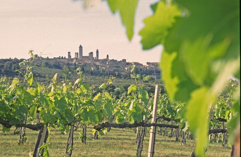 SAN GIMIGNANO: TASTING WITH A VIEW OF THE TOWERS - Key Points