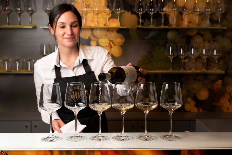 San Gimignano: Top Masterclass at Vernaccia Wine Experience - Overview of the Experience