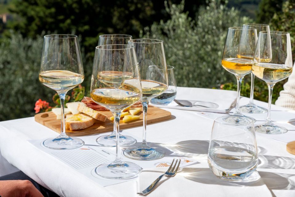 San Gimignano: Top Masterclass at Vernaccia Wine Experience - Highlights of the Masterclass