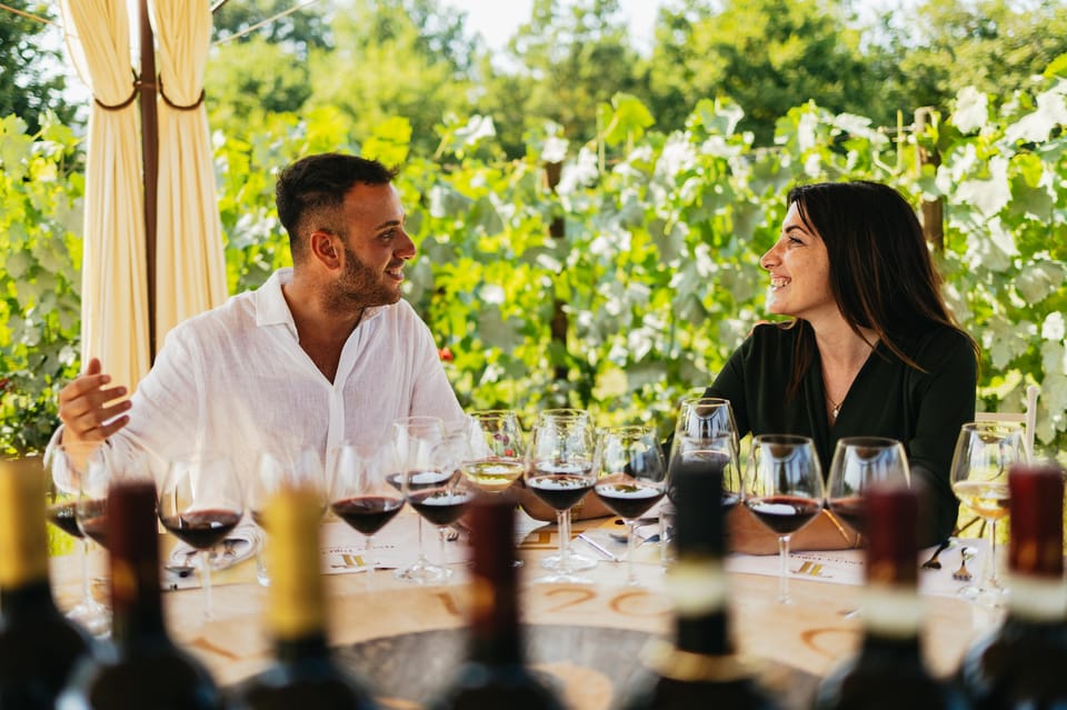 San Gimignano: Tuscan Vineyard Lunch with Wine Tasting - Key Points