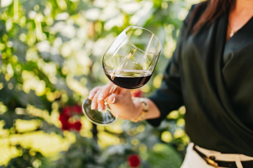 San Gimignano: Tuscan Vineyard Lunch with Wine Tasting - The Bottom Line