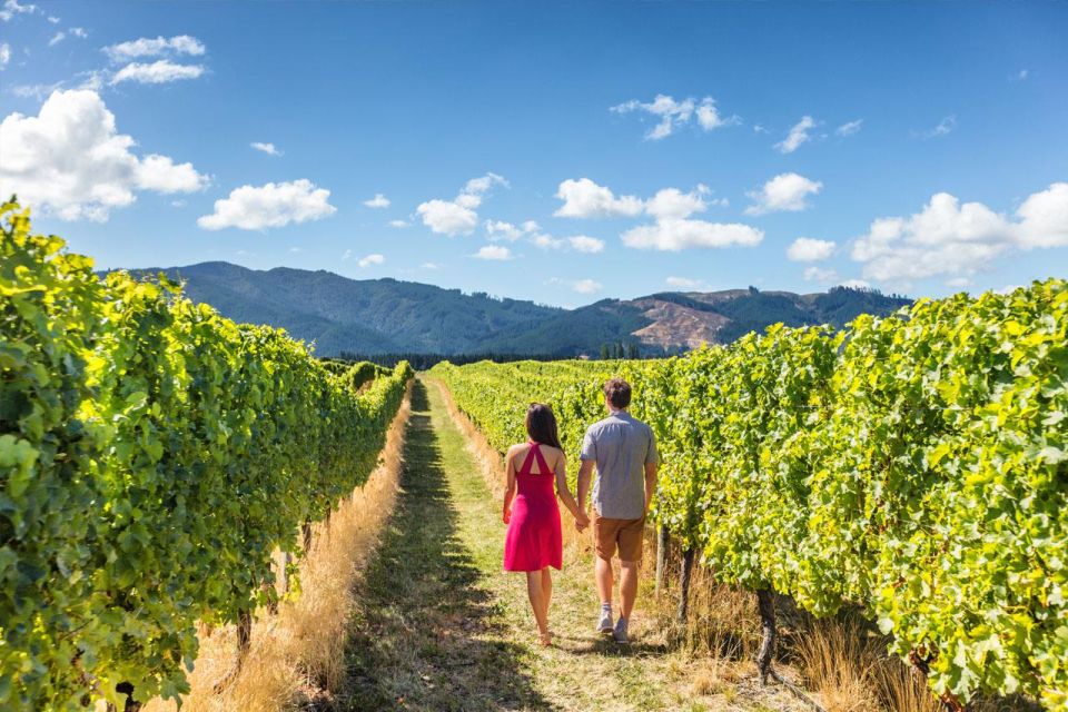 San Gimignano: Vineyard Walk With Wine Tasting in Winery - Vineyard and Winemaking Experience