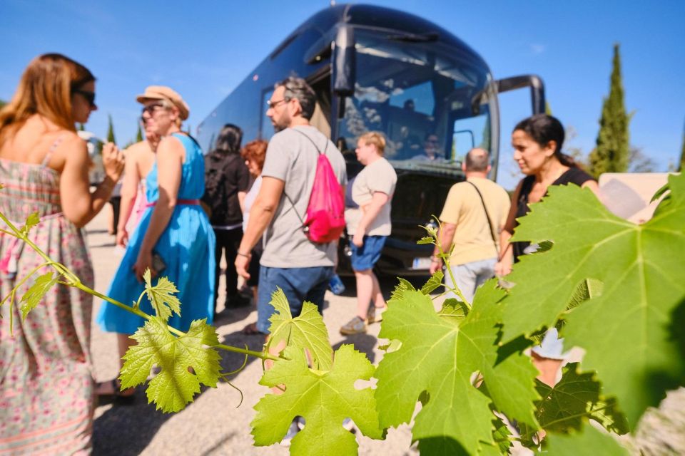 San Gimignano, Volterra, St Galgano Abbey Small Group Tour - Inclusions and Exclusions