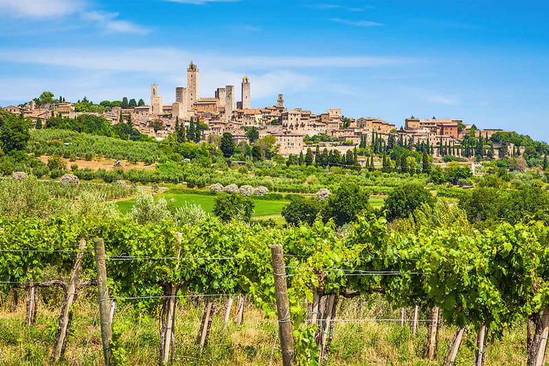 San Gimignano: Wine and Oil Tasting with Tuscan Appetizers - Pros and Cons
