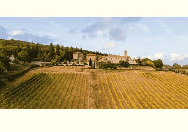 San Gimignano: Wine Tasting Experience at Il Colombaio - Key Points