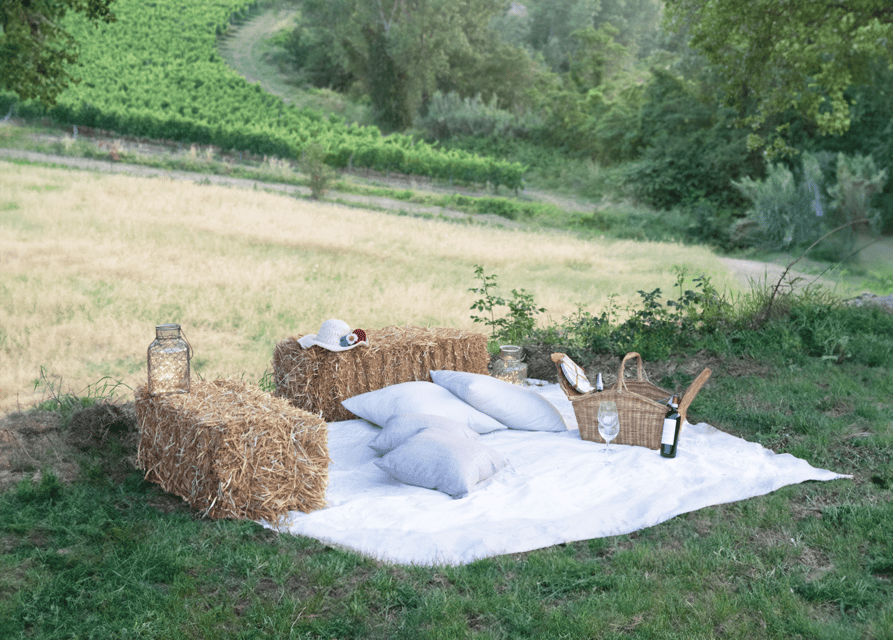 San Gimignano: Wine Tasting with Aperitivo in the Vineyard - The Sum Up
