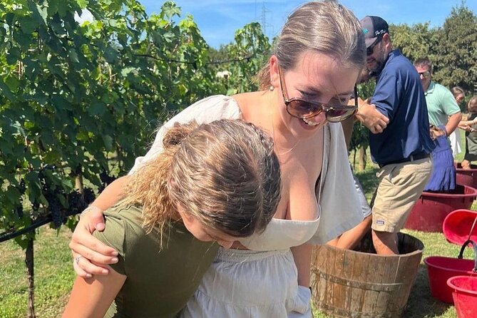 San Gimignano Wine Tour and Tuscan Appetizer for Small Group - Good To Know