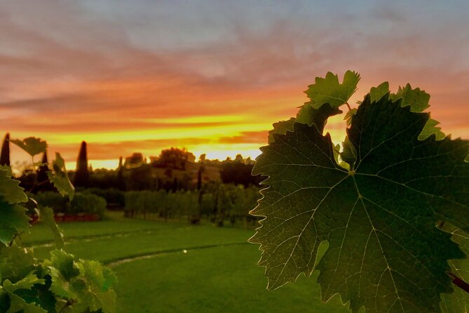 San Gimignano Wine Tour and Tuscan Appetizer for Small Group - Exploring San Gimignano