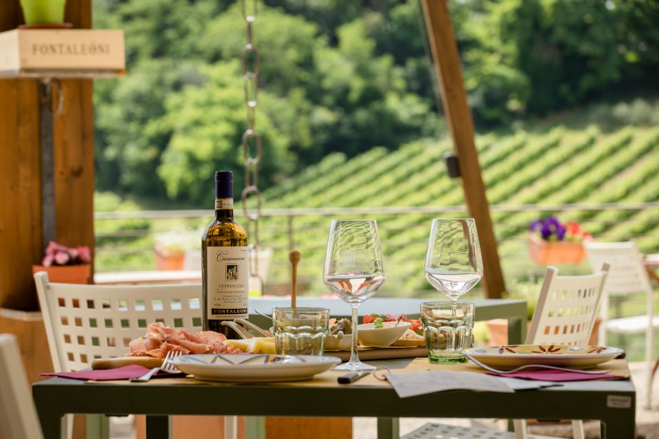 San Gimignano: Winery Tour With Wine Tasting and Lunch - Culinary Delights