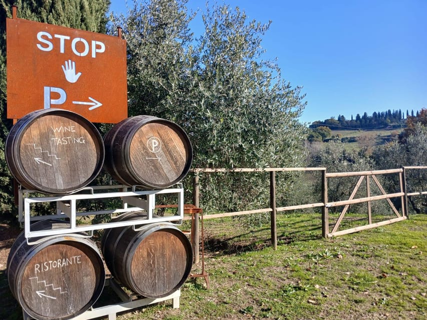 San Gimignano: Winery Visit With Picnic in Olive Grove - Final Words