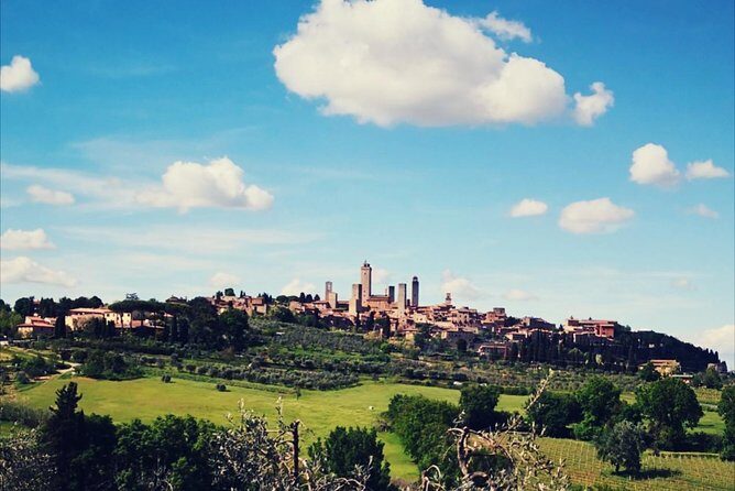 San Gimignano with lunch and wine tasting on a local winery - Exploring the Medieval Charm of San Gimignano