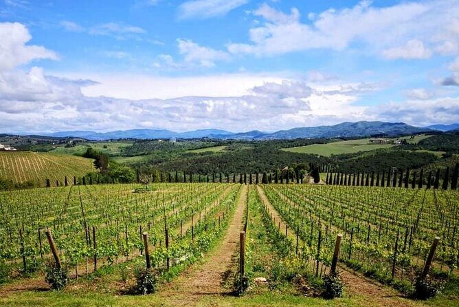 San Gimignano with lunch and wine tasting on a local winery - Final Thoughts