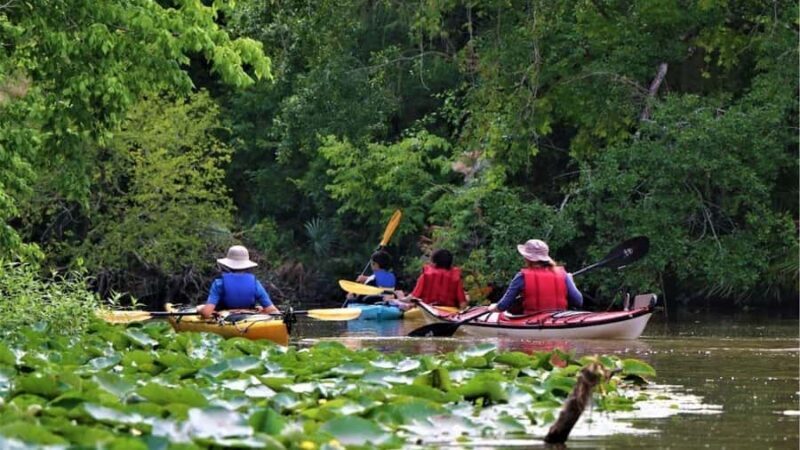 San Jacinto River | Stream Geomorphology Field Trip - Key Points