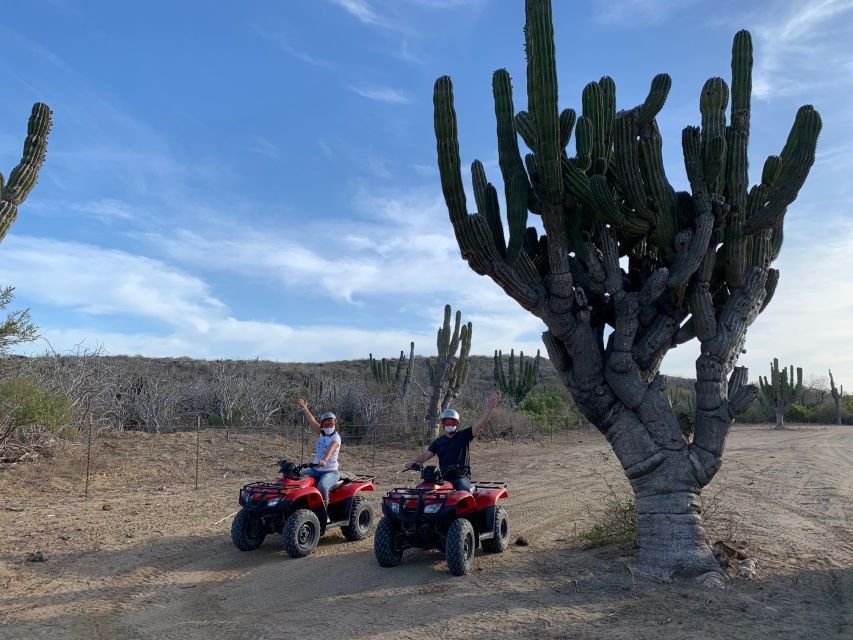 San José Del Cabo: Half-Day Guided ATV Ride With Transfers - Key Points