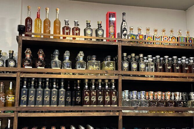 San Jose del Cabo- Tequila, Mezcal & Mixology Class - A Taste of Mexico’s Most Celebrated Spirits