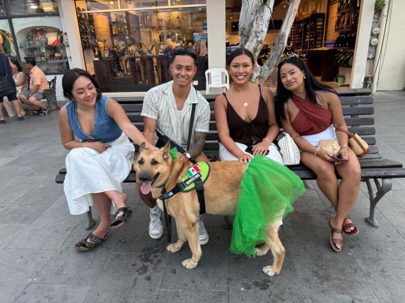 San José del Cabo: Thursday Night Art Walk Tour - Practical Tips for Participants